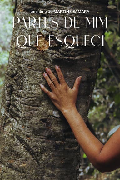 Partes de Mim que Esqueci poster