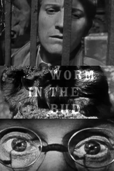 Worm in the Bud poster