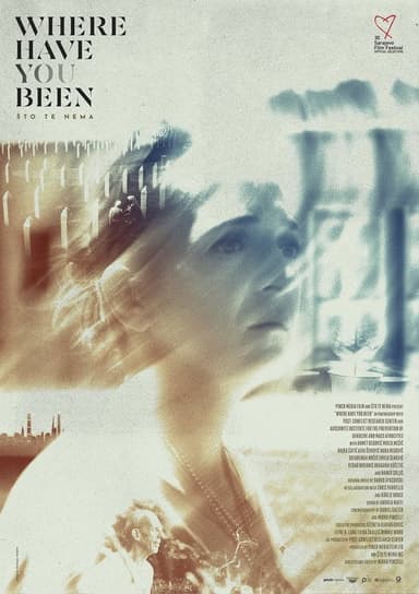 Where Have You Been poster