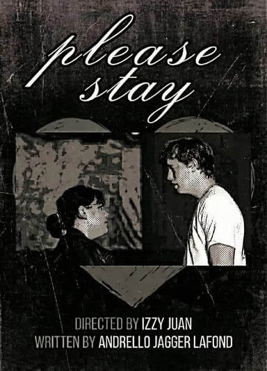 Please Stay poster