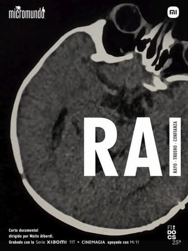RAI poster