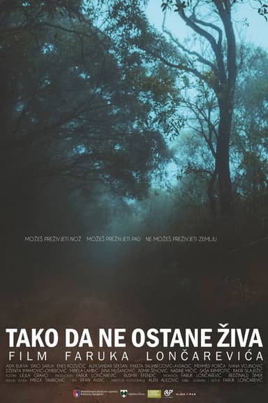 So She Doesn't Live poster