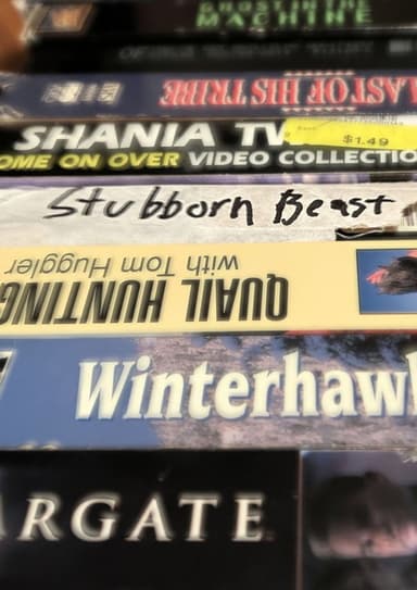Stubborn Beast poster