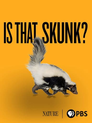 Is That Skunk? poster