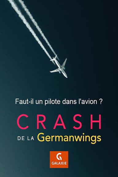 Faut-il un pilote dans l'avion ? poster