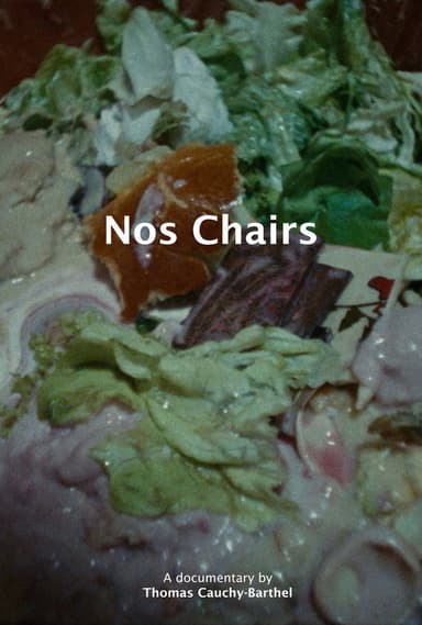 Nos chairs poster