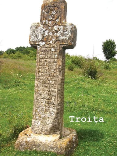 Troița poster