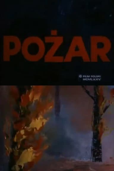 Fire poster
