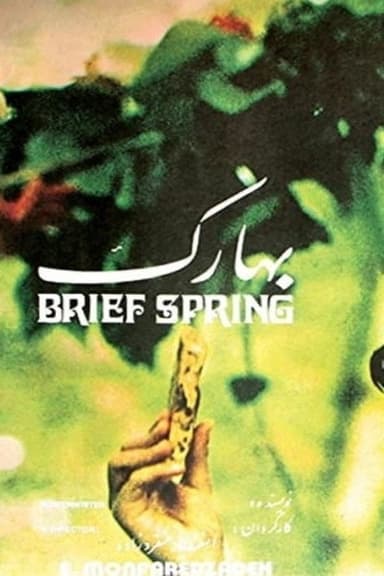 Brief Spring poster