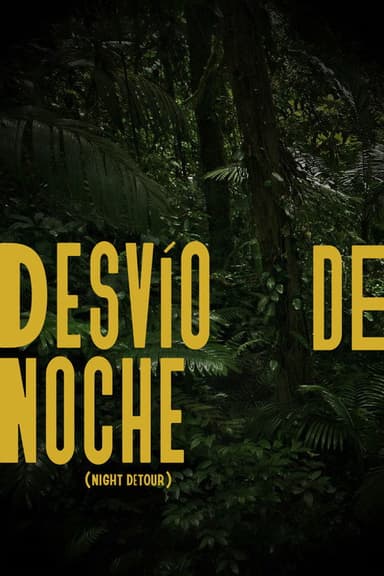 Night Detour poster
