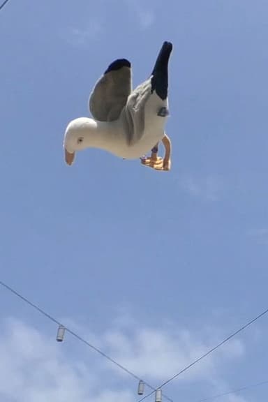 Double Jump poster