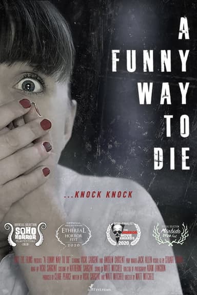 A Funny Way to Die poster