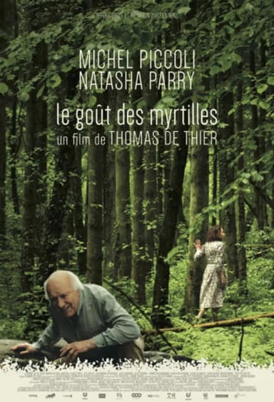 The Taste of Blueberries poster