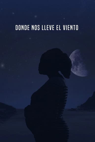 Donde nos lleve el viento poster