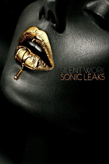 Silent Works - Sonic Leaks poster