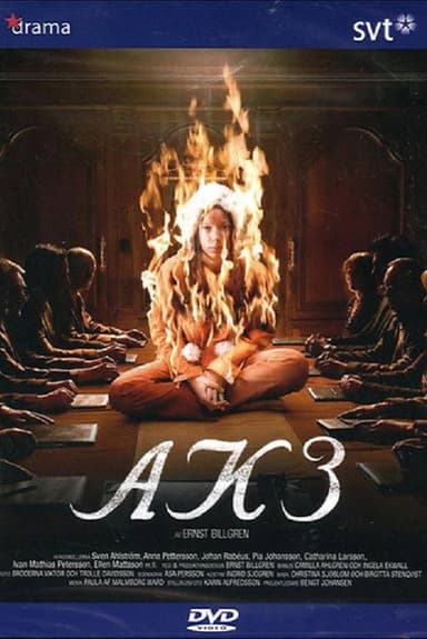 AK3 - Dolda beslut poster