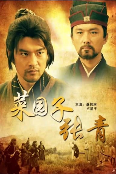 菜园子张青 poster