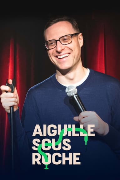 Aiguille sous roche poster