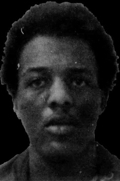 The Execution poster