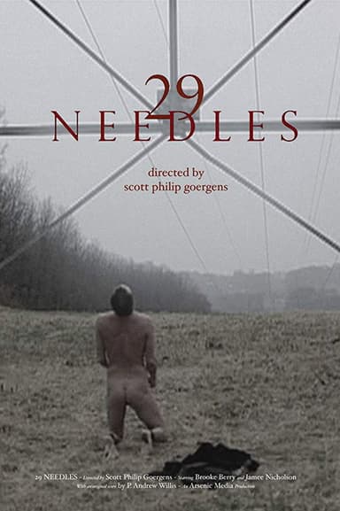 29 Needles poster