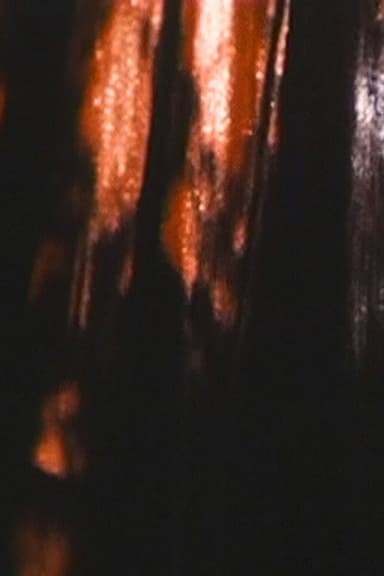 CURTAIN poster