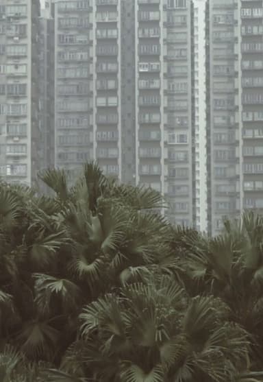 South Horizons poster