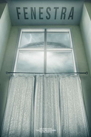 Fenestra poster