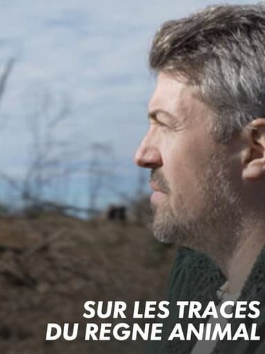 Sur les traces du règne animal poster
