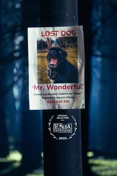 Mr. Wonderful poster