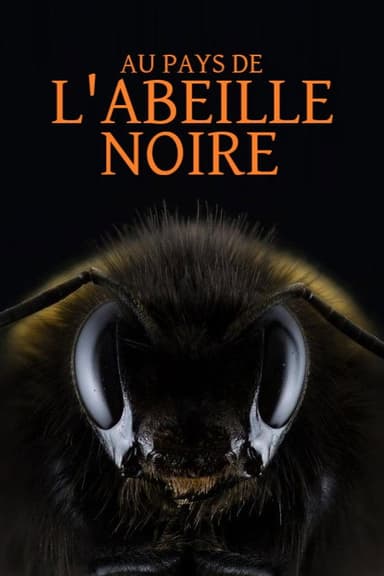 Au pays de l'abeille noire poster