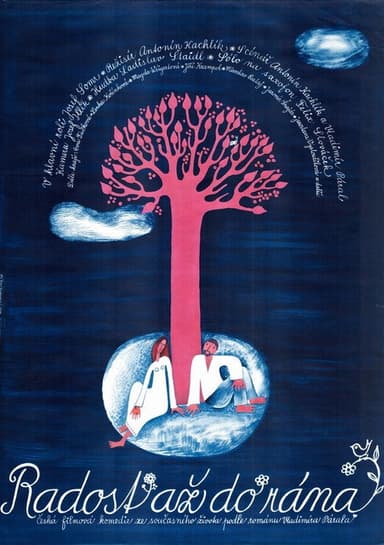 Radost až do rána poster