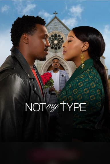 Not My Type poster