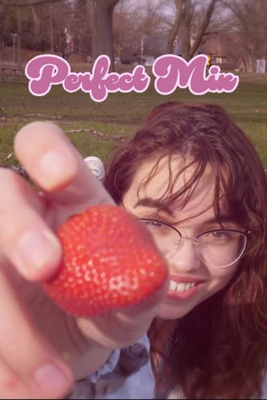 Perfect Mix poster
