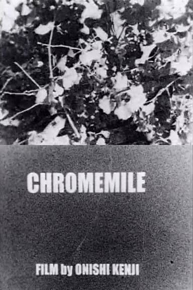 Chromemile poster