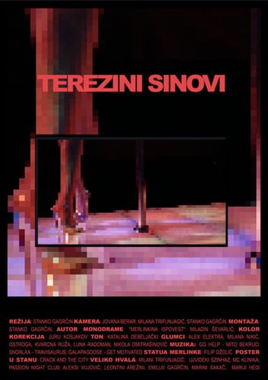 Tereza's Sons poster