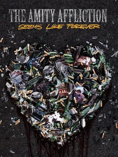 The Amity Affliction - Seems Like Forever poster