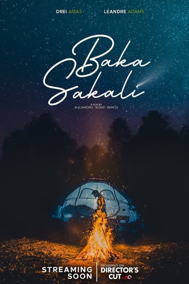 Baka Sakali poster