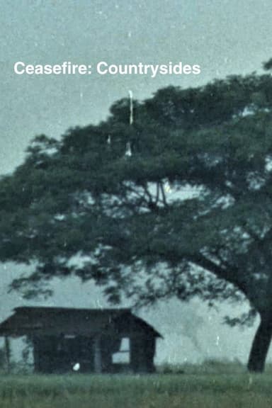 Ceasefire: Countrysides poster