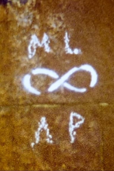 ML-AP poster