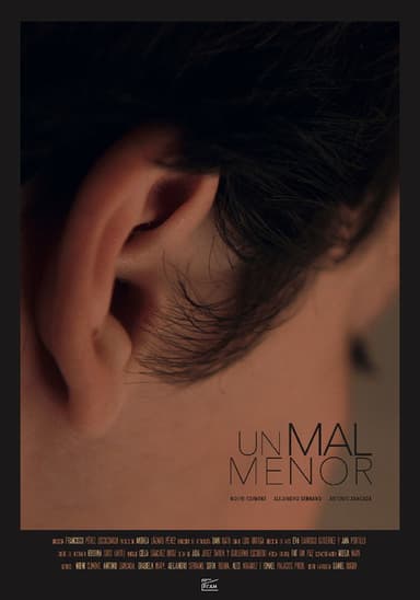 A Minor Inconvenience poster