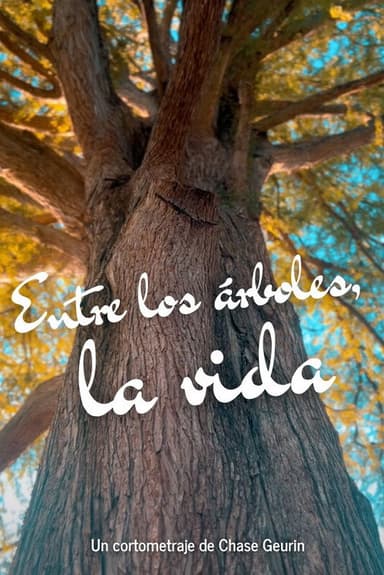 Among the trees, life poster