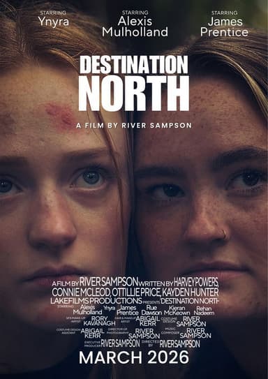 Destination North poster