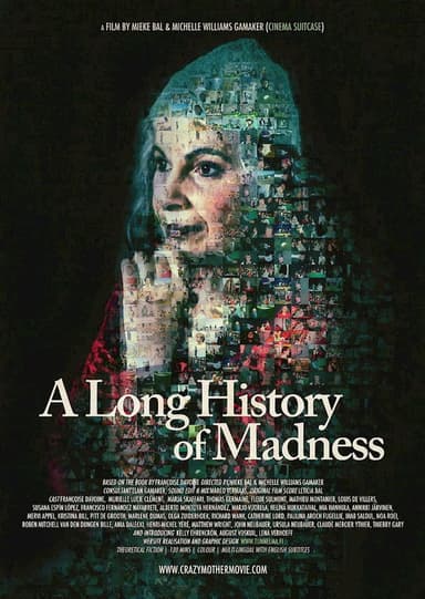 A Long History of Madness poster
