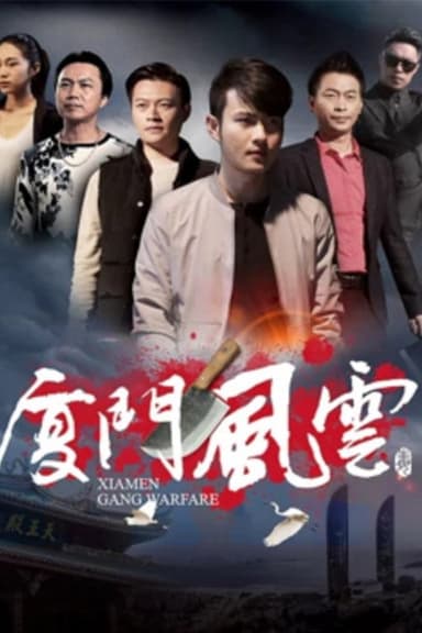 厦门风云 poster