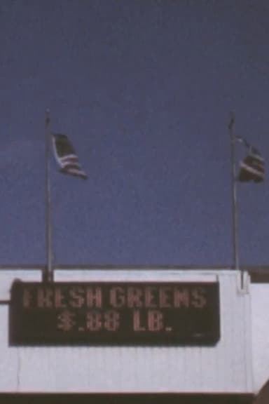 3 Flags poster