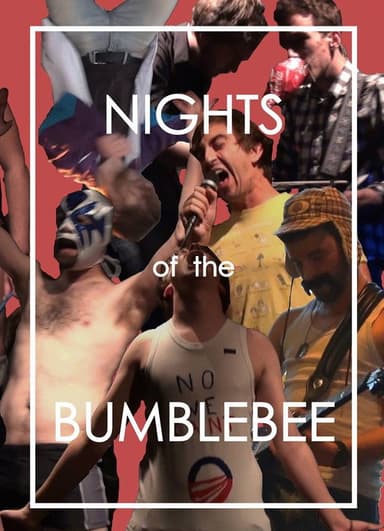 Nights of the Bumblebee poster