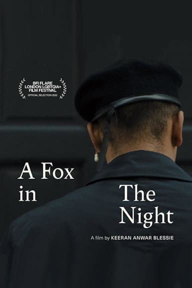 A Fox in the Night poster