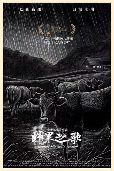 The Night Rain South Township poster