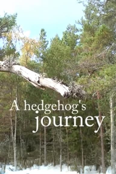 A Hedgehog's Journey poster