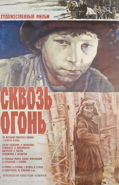 Through the Fire poster
